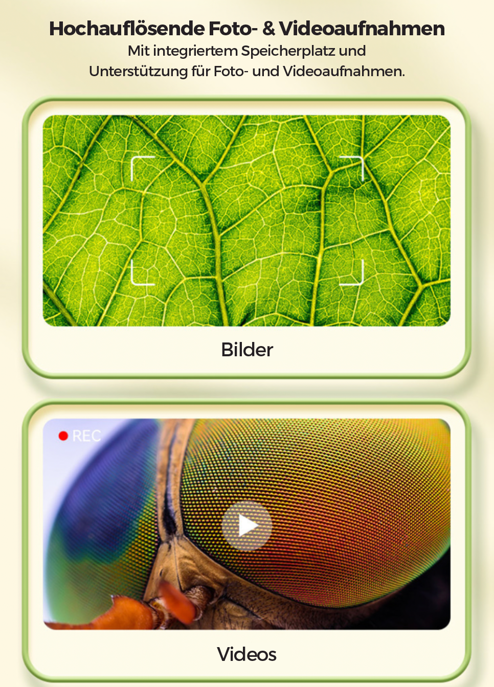 Lemoni Explorer™ - Digitaler Mikroskop