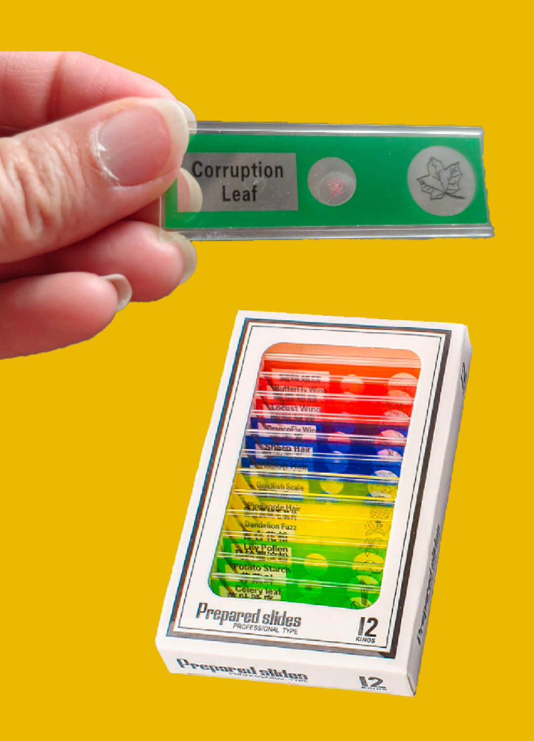 Mikroskop Objektgläser Set - 12 Stk.