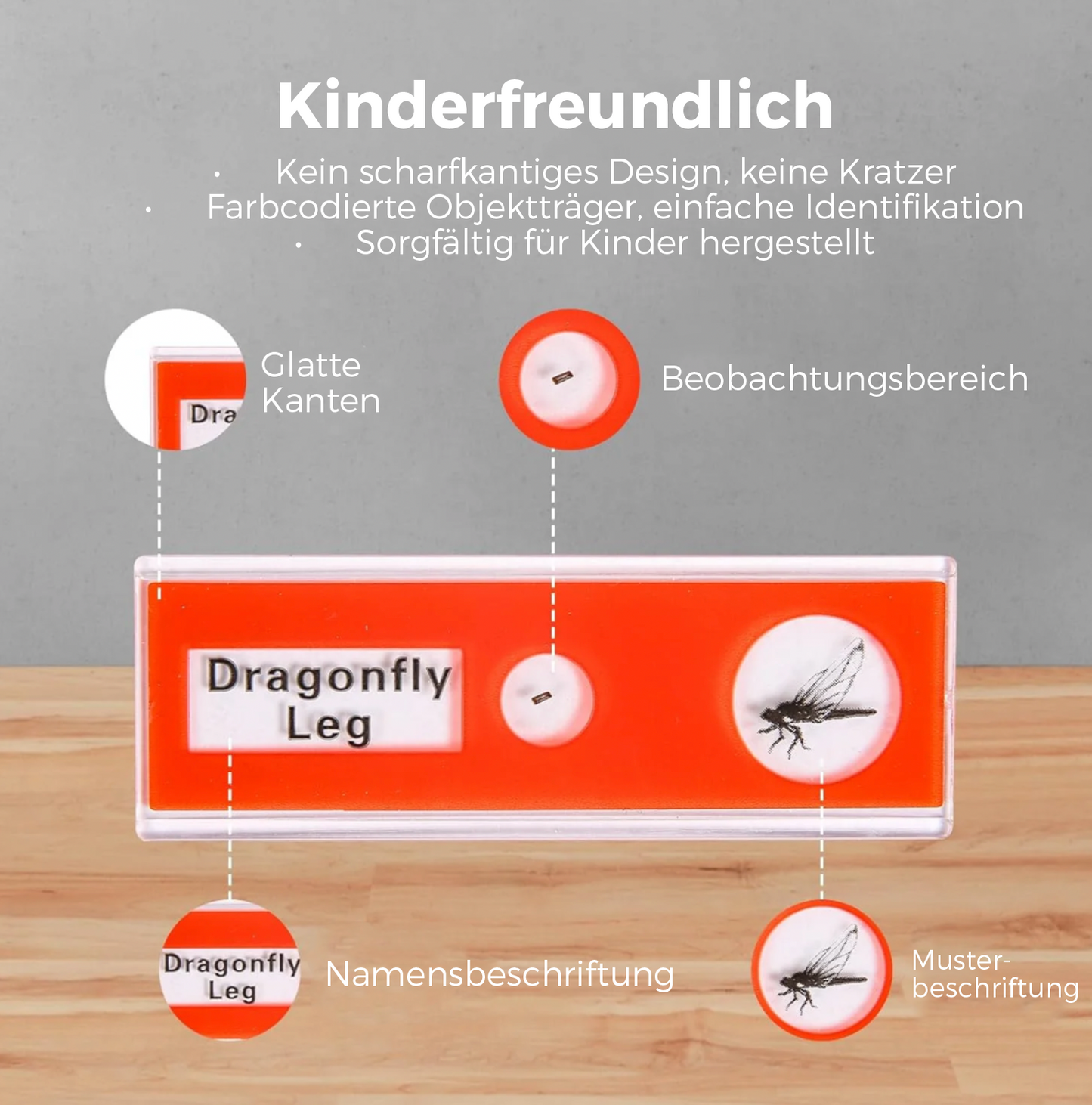 Mikroskop Objektgläser Set - 12 Stk.