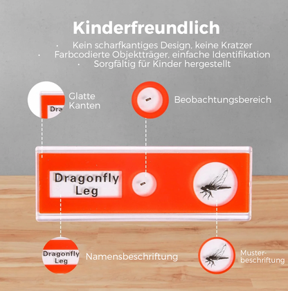 Mikroskop Objektgläser Set - 12 Stk.