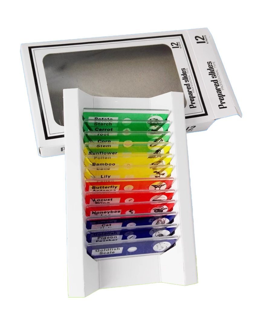 Mikroskop Objektgläser Set - 12 Stk.