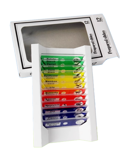 Mikroskop Objektgläser Set - 12 Stk.